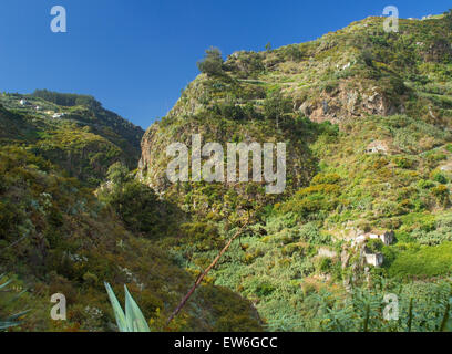 Gran Canaria, steile Schlucht Barranco de Azuaje zwischen Moya und Firgas, Naturschutzgebiet Stockfoto