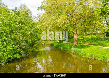 STADT MAGDALEN COLLEGE IN OXFORD ADDISONS SPAZIERGANG DURCH DIE WIESEN MIT DEM FLUSS CHERWELL UND PUNT IM FRÜHLING Stockfoto