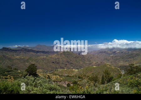 Gran Canaria, Caldera de Tejeda im Mai, Altavista-Gebirge ist von Bergen bedeckt Stockfoto