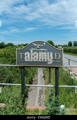 Salisbury Plain, UK. 18. Juni 2015. Krankenwagen-service große Übung am Tilshead auf Salisbury Plain Wiltshire Kredit: Paul Chambers/Alamy Live News Stockfoto