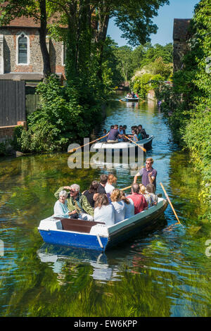 Boat Trip Tour Fluss Stour Canterbury Kent UK Stockfoto