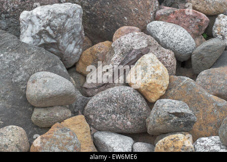 Hintergrund von Steinen in verschiedenen Farben und Rassen. Stockfoto