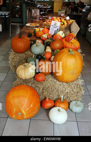 Verschiedene Arten von Kürbis und andere Lebensmittel auf dem Display in einem Restaurant in London, England Stockfoto