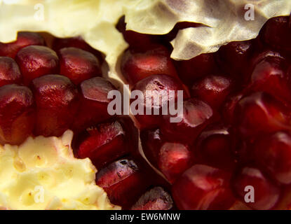 Öffnen Sie Granatapfel Körner essen Hintergrund Stockfoto