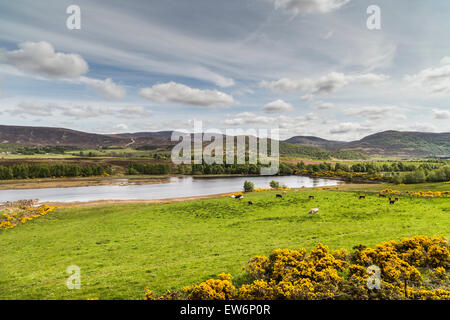 Loch Mhor in den schottischen Highlands. Stockfoto