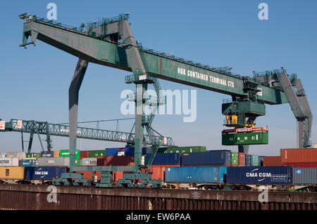 HGK Containerterminal, Niehl, Köln, Nordrhein-Westfalen, Deutschland. Stockfoto