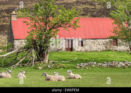 Rote überdachte Schutzhütte im Glen Mhor in den schottischen Highlands. Stockfoto