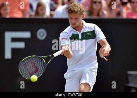 HERTOGENBOSCH, Niederlande. 14. Juni 2015. ATP Topshelf Herren-Einzel-Tennis-Finale. Nicolas Mahut vs. David Goffin. David Goffin (BEL) © Aktion Plus Sport/Alamy Live-Nachrichten Stockfoto