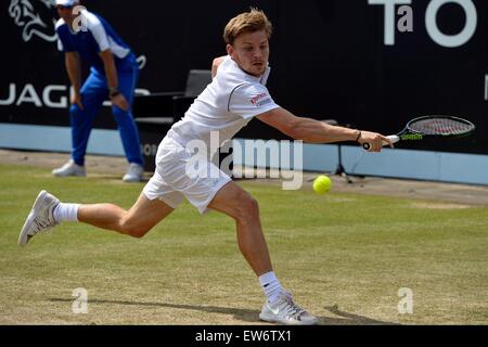 HERTOGENBOSCH, Niederlande. 14. Juni 2015. ATP Topshelf Herren-Einzel-Tennis-Finale. Nicolas Mahut vs. David Goffin. David Goffin (BEL) © Aktion Plus Sport/Alamy Live-Nachrichten Stockfoto