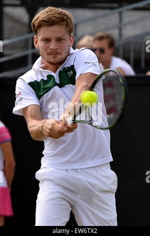 HERTOGENBOSCH, Niederlande. 14. Juni 2015. ATP Topshelf Herren-Einzel-Tennis-Finale. Nicolas Mahut vs. David Goffin. David Goffin (BEL) © Aktion Plus Sport/Alamy Live-Nachrichten Stockfoto