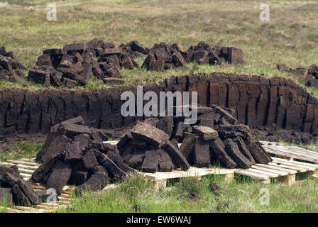 Torfabbau in Schottland, UK Europe Stockfoto