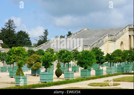 Schloss Versailles Garten und Park Orangerie Ile de France Frankreich Europa Stockfoto