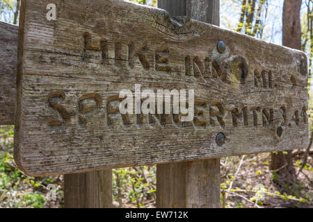 Holzschild deutete auf die Wanderung Inn und Springer Mountain entlang der Appalachian Trail Ansatz Trail Stockfoto