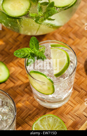 Erfrischendes Eis Wasser mit Kalk Gurke und Minze Stockfoto