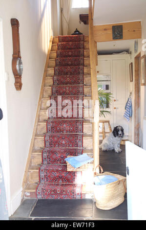 Gemusterten Teppich auf Holztreppe in alten altmodischen Halle Stockfoto