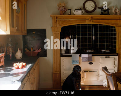Schwarze Labrador Hund sitzt neben Creme Aga-Ofen im Landhaus-Küche Stockfoto
