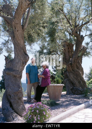Porträt einer älteren paar stand im Schatten der Olive Bäume für nur zur redaktionellen Nutzung Stockfoto
