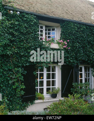 Außenseite des französischen Landhaus mit grünen Virginia wächst an den Wänden Stockfoto