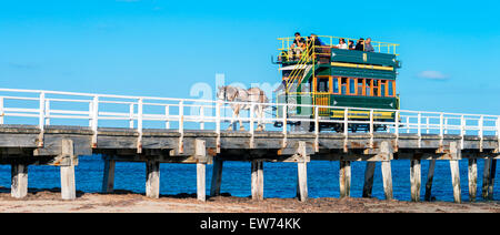 Victor Harbor, South Australia - 4. April 2015: Menschen sind die Pferdekutsche von Granite Island Reiten Stockfoto