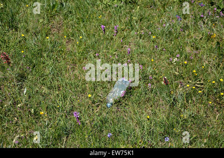 Gebrauchte Kunststoff-Flasche sank auf grüner Wiese Stockfoto