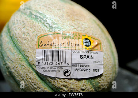 Eine Cantaloupe Melon, die in Spanien angebaut und im Supermarkt in Großbritannien mit dem Aufkleber „Best Before Date“ verkauft wird Stockfoto