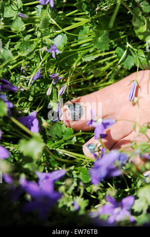 Gesundheit und Schönheit Frau mit bemalten Glitzer Fußnägel unter Campanula Pflanzen im Garten Stockfoto