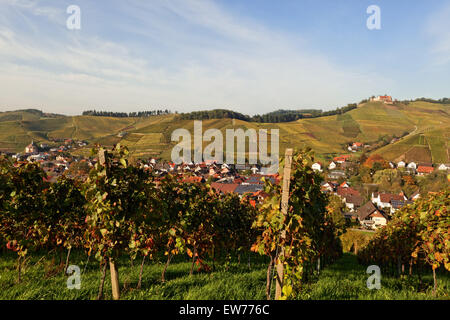 Durbach im Herbst, Schwarzwald, Ortenau, Baden-Württemberg, Deutschland Stockfoto