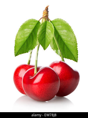 Drei rote Kirschen mit Blättern isoliert auf weiss Stockfoto