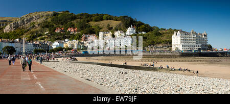 Großbritannien, Wales, Conwy, Llandudno, North Beach direkt am Meer und Great Orme bei Ebbe, Panorama Stockfoto