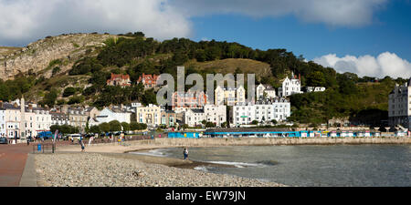 Großbritannien, Wales, Conwy, Llandudno, North Beach direkt am Meer und Great Orme, Panorama Stockfoto