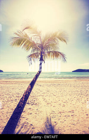 Vintage stilisierte tropischen Strand mit Palme bei Sonnenuntergang. Stockfoto