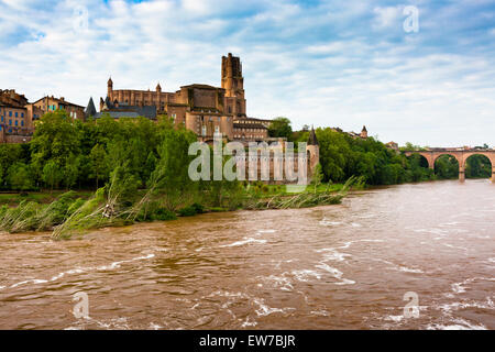 Blick über den Fluss Tarn, die Kathedrale Sainte Cecile in Albi Stockfoto