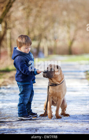 Kleiner Junge mit seinem Hund im Park, fütterte ihn Stockfoto