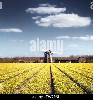 Holländische Windmühle Stockfoto