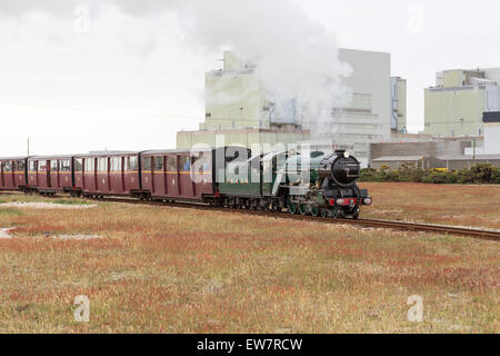 Kleinen Dampfzug auf Romney, Hythe und Dymchurch Railway, Kent, England Stockfoto