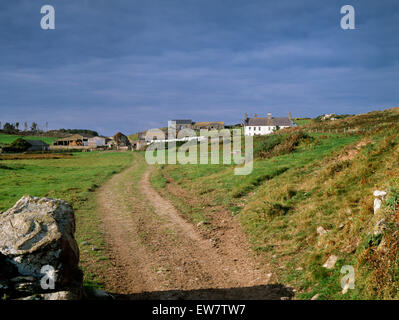 Auf dem Bauernhof Spur & Wanderweg führt durch Mynachdy (Mönch-Haus), Carmel Kopf, Anglesey: ursprünglich eine mittelalterliche klösterliche Grange, jetzt ein National Trust-Bauernhof Stockfoto