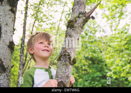 Lächelnde junge sitzt in einem Baum Stockfoto