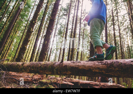 Niedrige Winkelansicht eines Jungen, der über einen Baumstamm im Wald, USA, geht Stockfoto