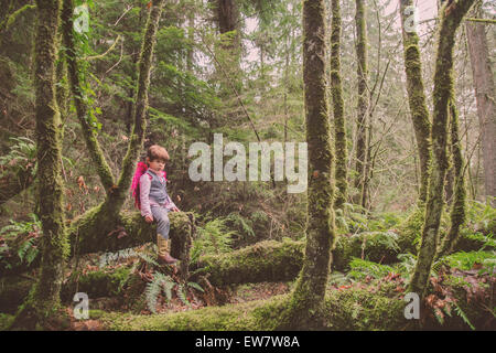 Kleiner Junge mit rosa Feenflügeln auf Holzstamm in einem Wald, USA Stockfoto