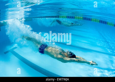 Schwimmer im Wettkampf, Key Largo, Florida Stockfoto