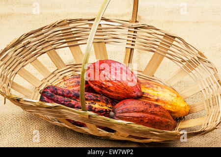 Korb mit Kakao (Theobroma Cacao) auf Sackleinen Stockfoto