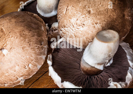 Closeup auf wenige große braune Champignons Pilze auf Holzbrett Stockfoto