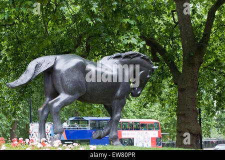 Ein Denkmal der Tiere kämpfte in den großen Kriegen, "sie hatte keine Wahl" London England Stockfoto