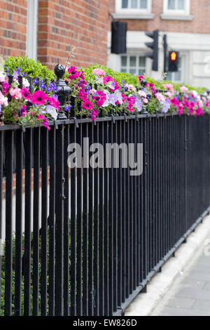Fenster-Kisten voller Blumen Geländer befestigt Stockfoto