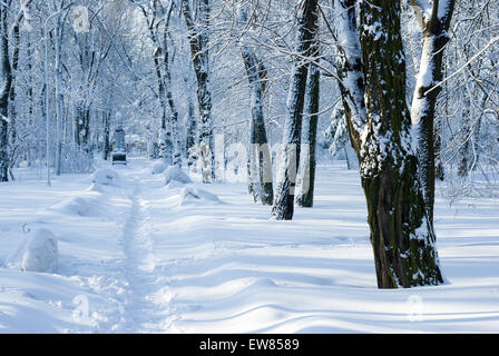 Winter in einem park Stockfoto