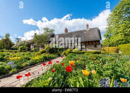 Anne Hathaway Ferienhaus und Gärten in Stratford-upon-Avon war das Haus von Anne Hathaway, die Ehefrau von William Shakespeare Stockfoto