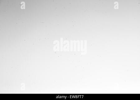 Insekten gegen den Himmel, die Mücken in die Luft, umherfliegende Trümmer, die Luftfederung Stockfoto