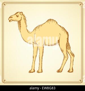 Skizzieren Sie niedlich Kamel im Vintage-Stil, Vektor Stock Vektor