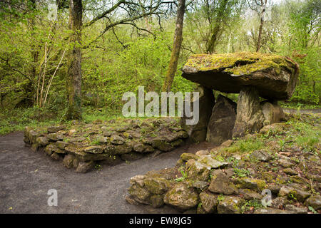 Irland, Co. Wexford, Irish National Heritage Park, megalithische Grabstätte Stockfoto