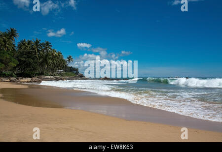 Schöne Wellen am Paradiesstrand im südlichen Provinz, Sri Lanka, Asien im Dezember. Stockfoto